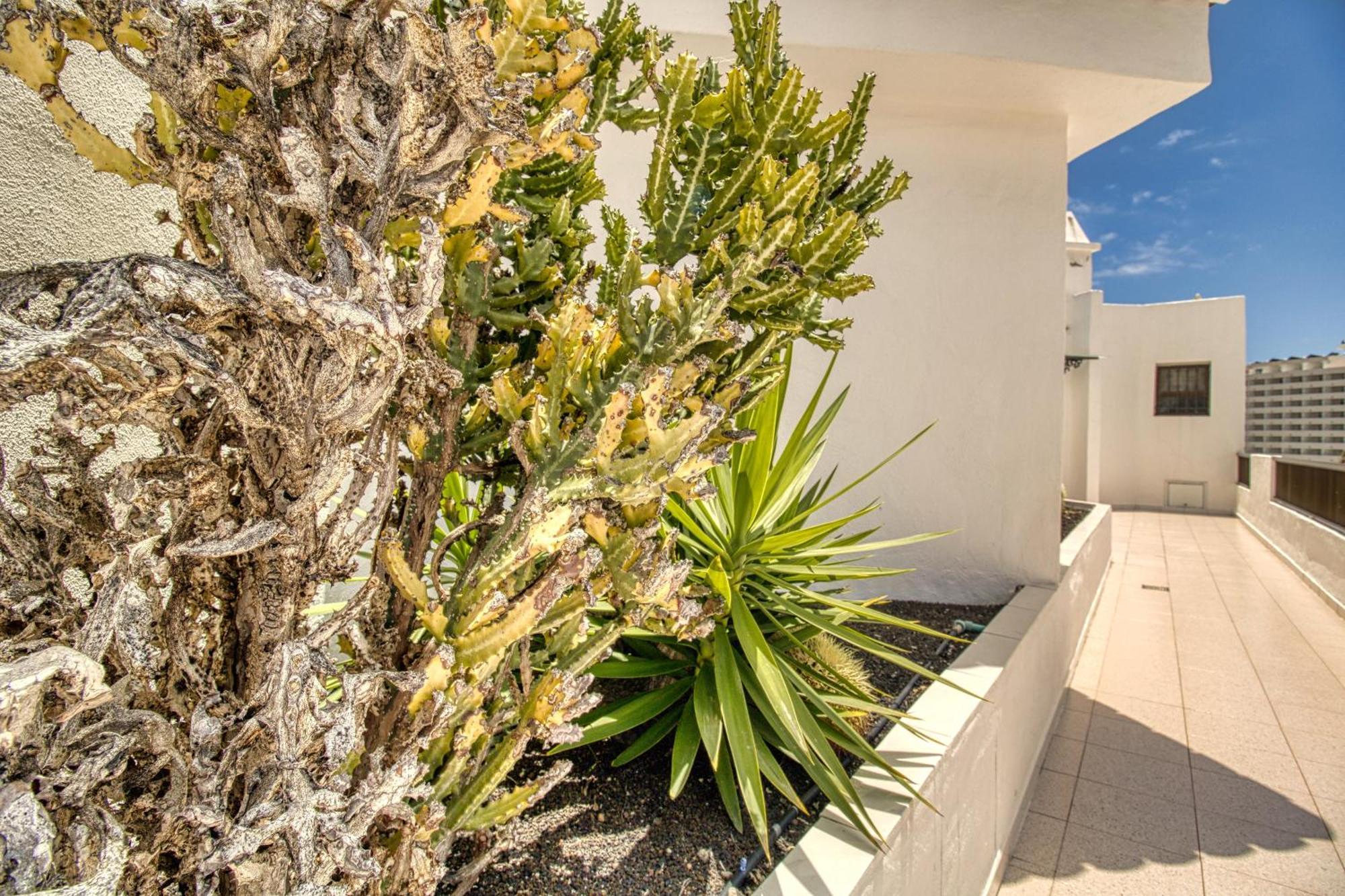 Penthouse Sea View Jacuzzy Terrace & Pool Apartment Playa Fanabe Exterior photo