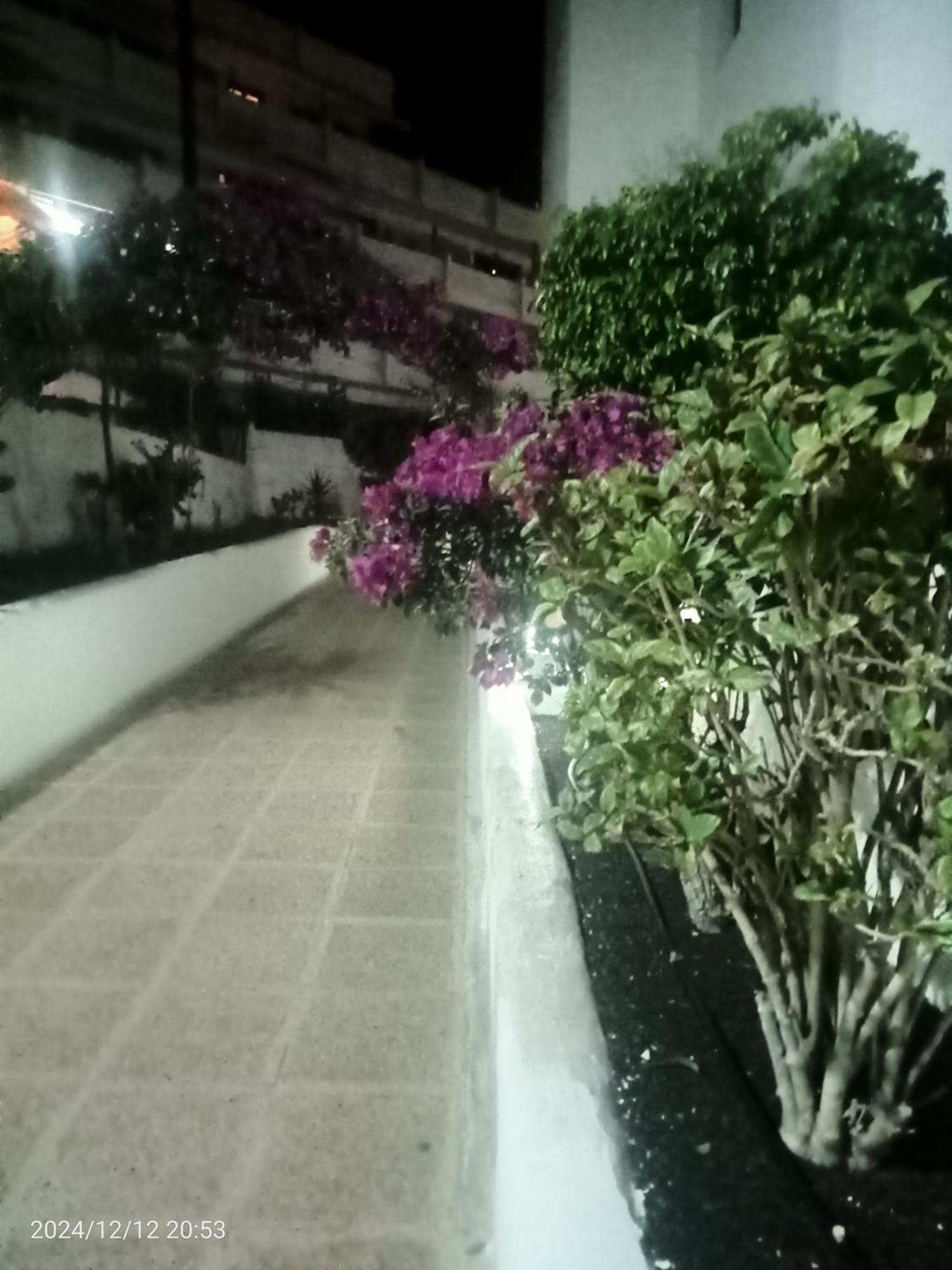 Penthouse Sea View Jacuzzy Terrace & Pool Apartment Playa Fanabe Exterior photo