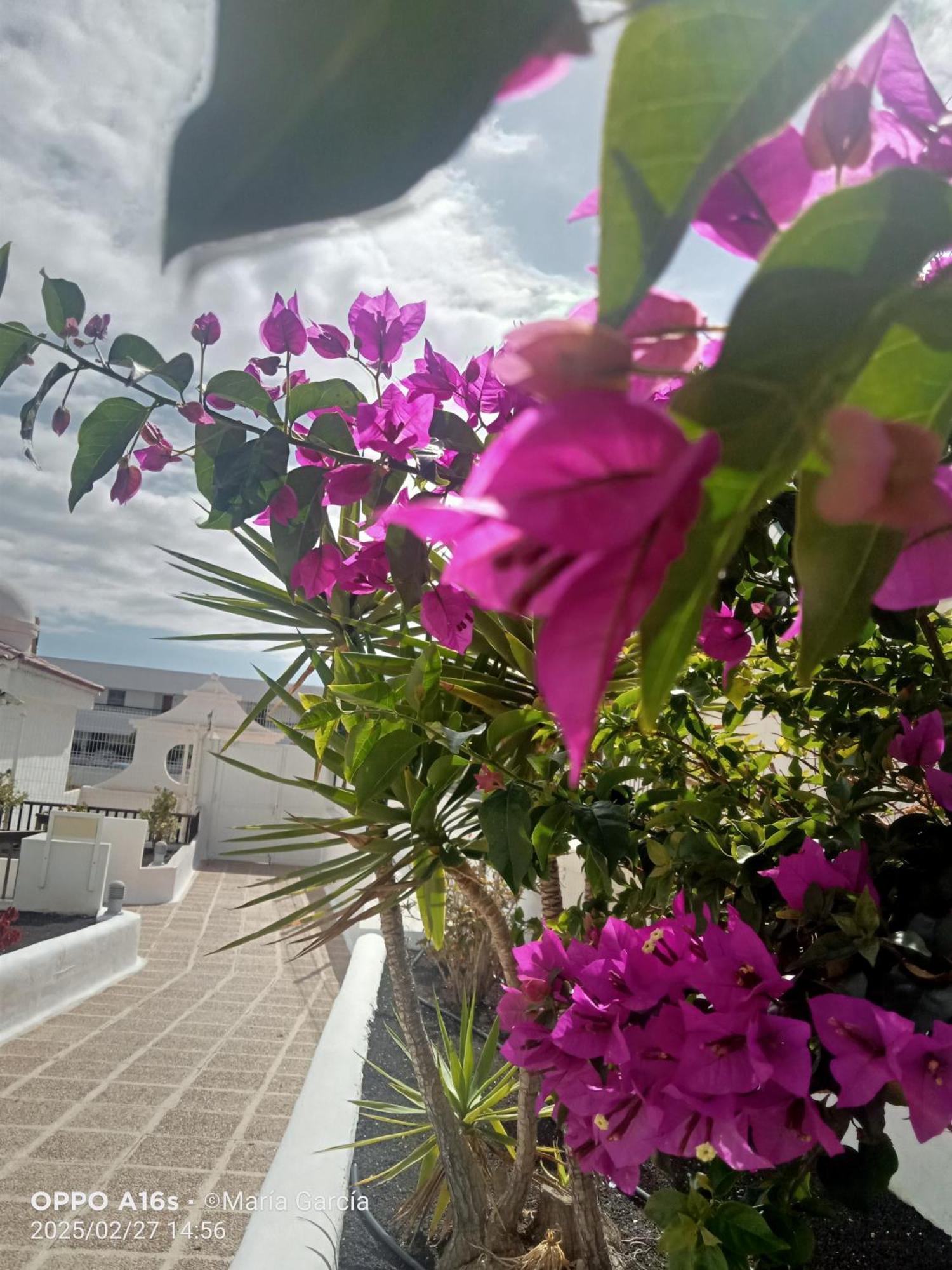 Penthouse Sea View Jacuzzy Terrace & Pool Apartment Playa Fanabe Exterior photo